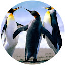 Chuck&Betty Turner profile picture